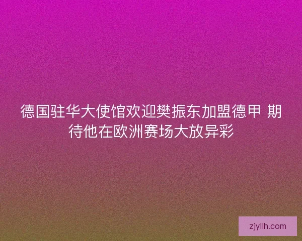 德国驻华大使馆欢迎樊振东加盟德甲 期待他在欧洲赛场大放异彩
